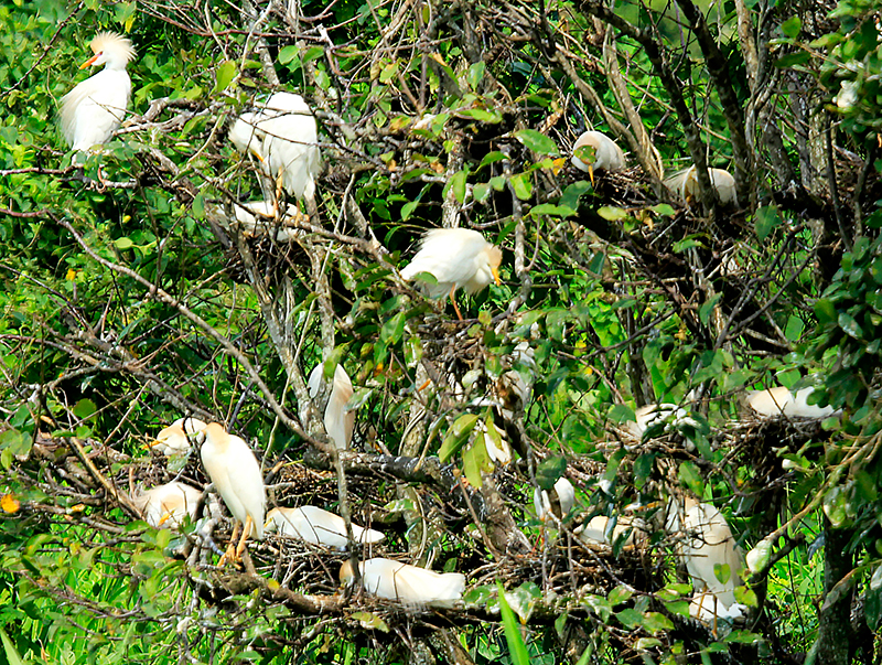 Puerto-Boyaca-19-112