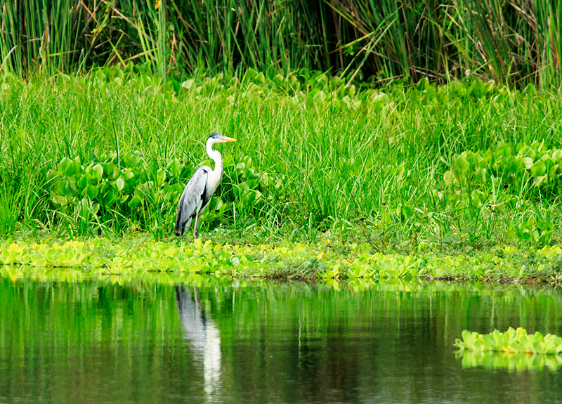 Puerto-Boyaca-19-119