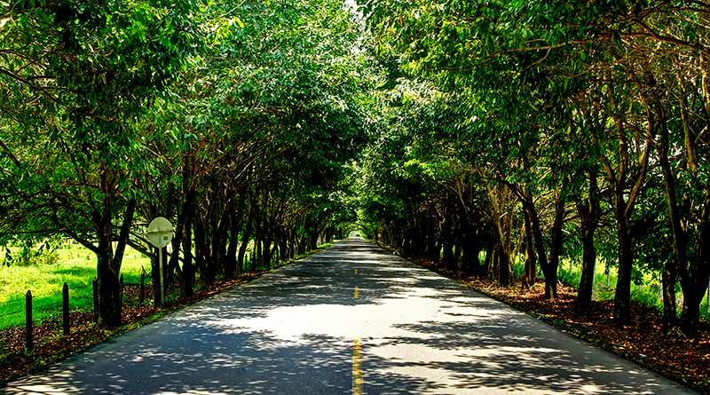 Puerto-Boyaca-19-185