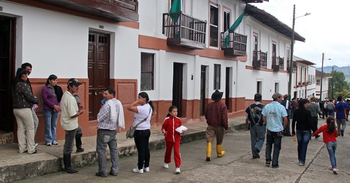 pachavita