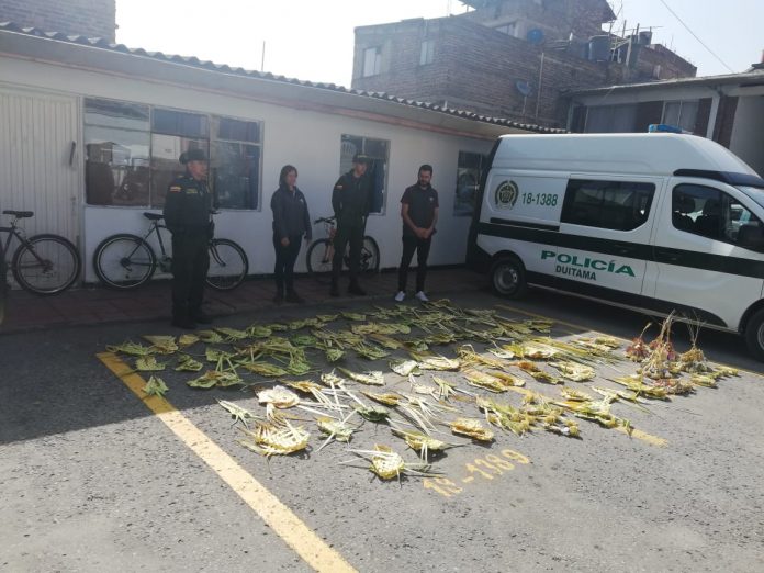 palma-policia