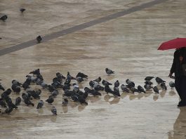 En el primer semestre del 2024 habrá disminución de lluvias entre el 10 y el 30 por ciento en la Región Andina