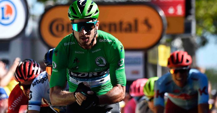 peter-sagan