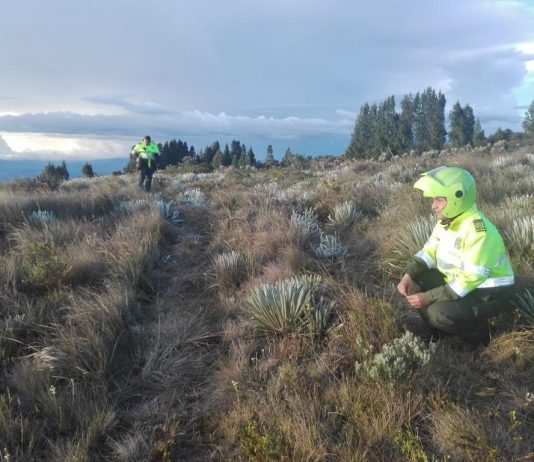 Tragedia ambiental en Boyacá, área de páramo fue arrasada con un tractor