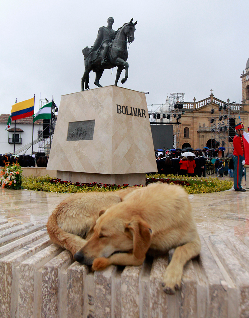 Tunja-480-años-64