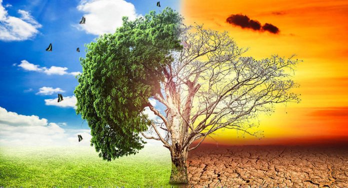 Cambio Climático