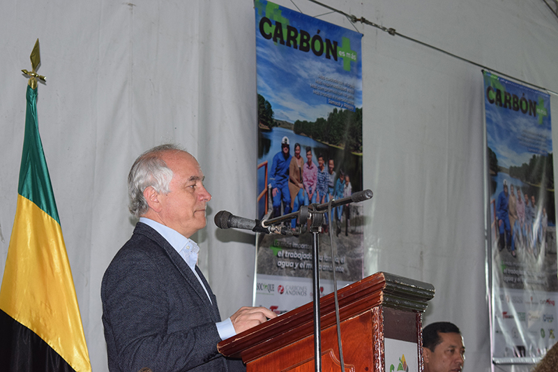 carbon revista