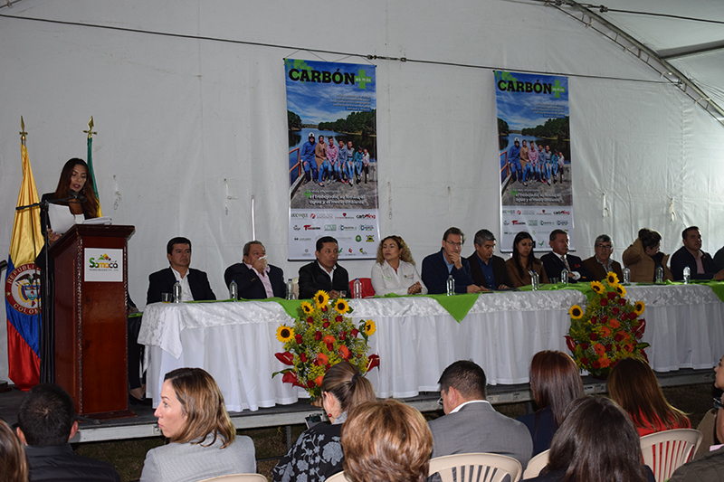 carbon revista
