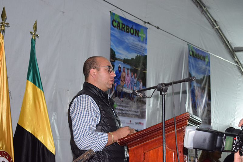 carbon revista
