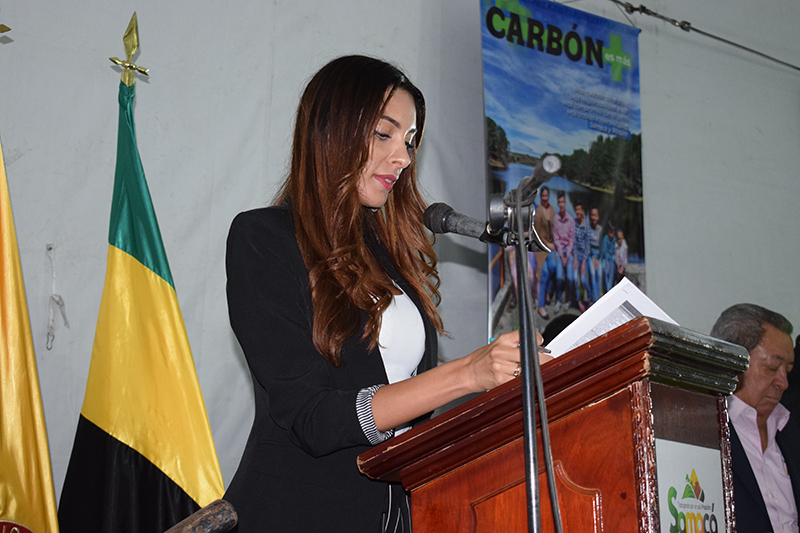 carbon revista