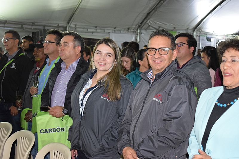 carbon revista
