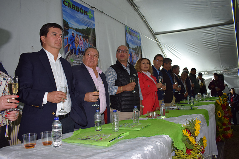 carbon revista
