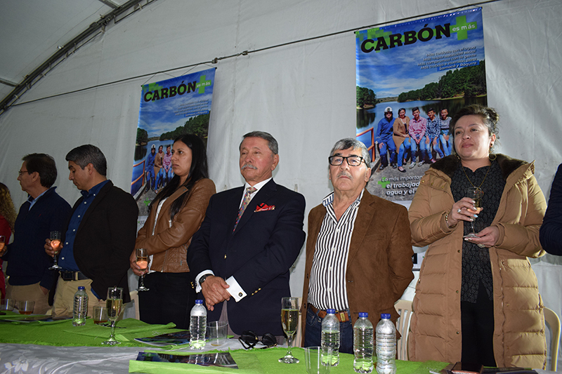 carbon revista
