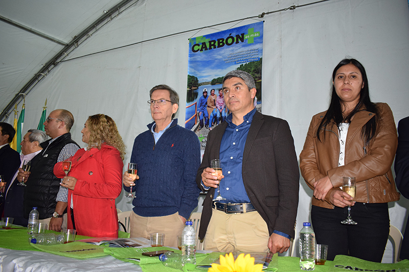 carbon revista