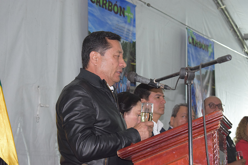 carbon revista