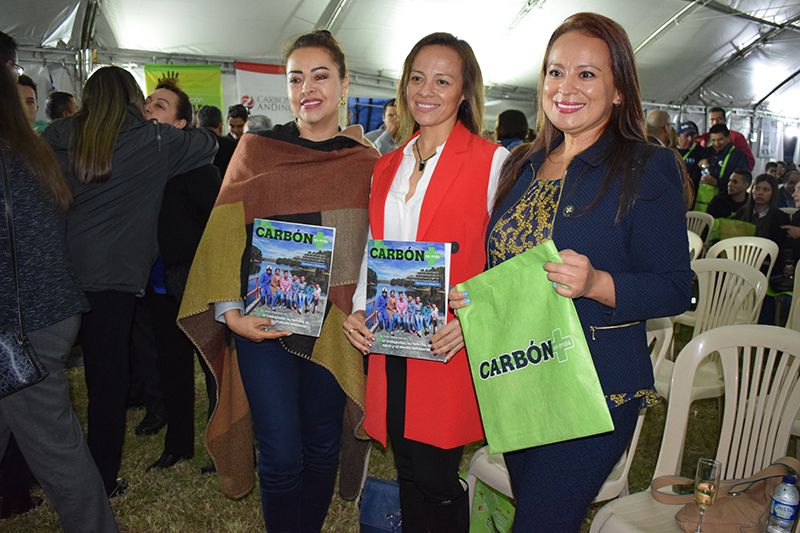 carbon revista