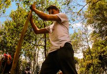 Conciencia ambiental