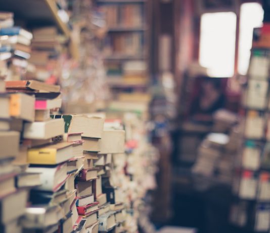 Paipa vivirá su primera Feria del Libro