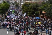 ¿Por qué salir a marchar este 21 de enero?