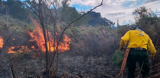 Controlado incendio forestal en los cerros tutelares