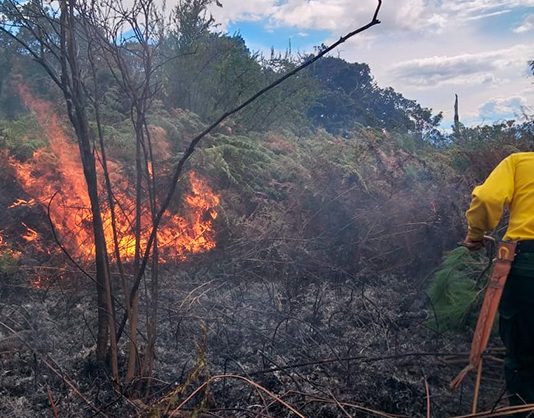 Corpoboyacá ‘hace vaca’ para ayudar a apagar incendios forestales