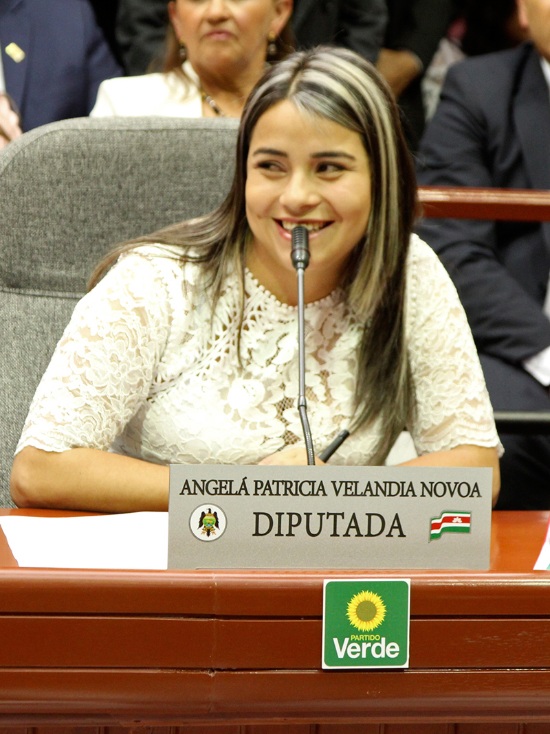 Diputados-2020-11