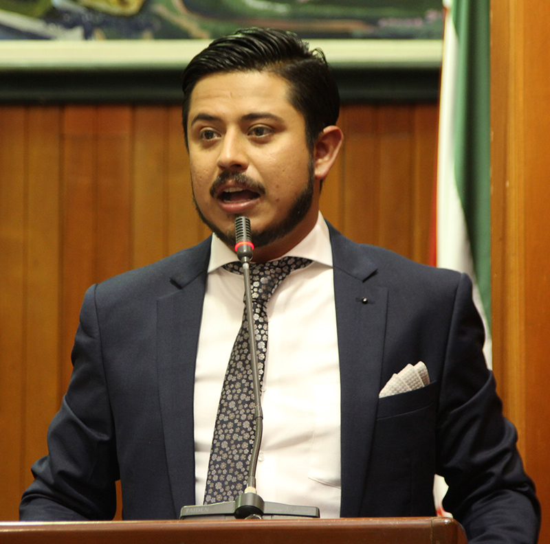 Diputados-2020-16