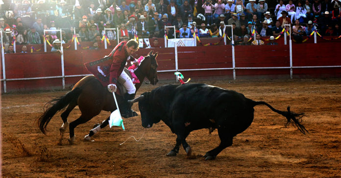 toros-tuta-gabriela-martinez-eldiario