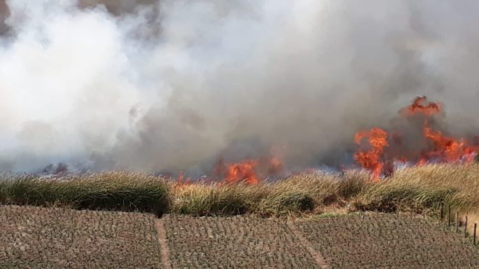Incendio Lago de Tota