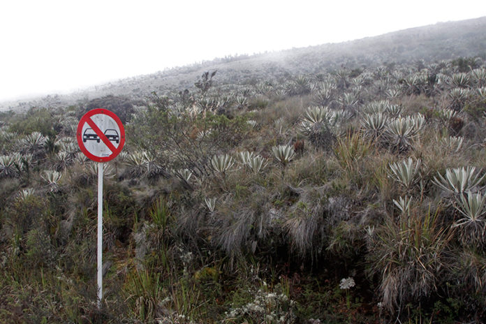 Paramo-de-Sumapaz-01