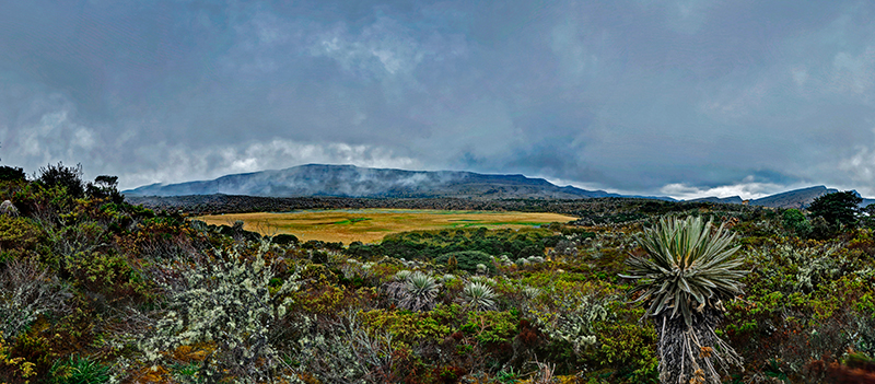 Paramo-de-Sumapaz-05
