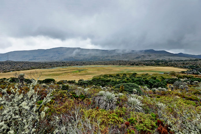 Paramo-de-Sumapaz-07