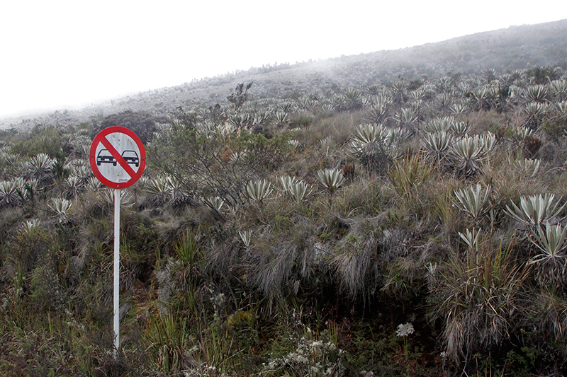 a.-Paramo373- sumapaz