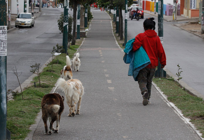 Pandemia-abril-11-48-indigencia-perros-niños-tunja