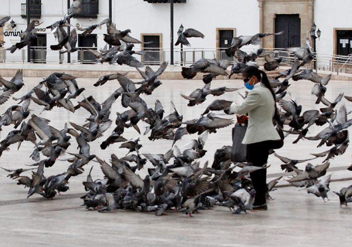 Tunja-humana-pandemia-014-palomas