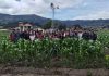 Programa de la Facultad de Ciencias Agropecuarias en la XXIV Jornada de la Investigación