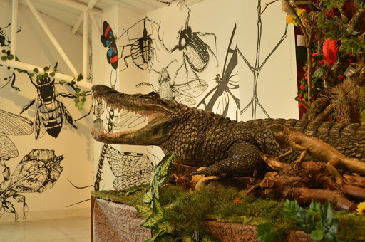 Museo de Historia Natural UPTC