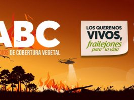 ABC todo lo que debe saber sobre los incendios de cobertura vegetal