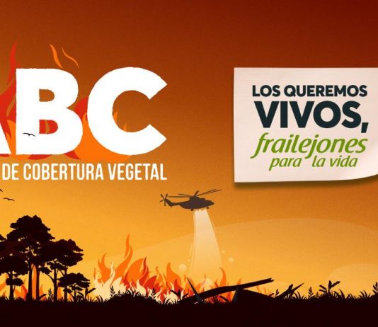 ABC todo lo que debe saber sobre los incendios de cobertura vegetal
