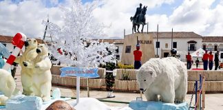 Los osos de Tunja: navidad sin restricciones ni responsabilidad social