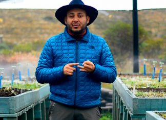 La estrategia Boyacá Reverdece plantará un millón de nuevos árboles al término del 2023