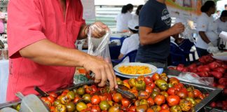 Tunja, primera Feria de seguridad alimentaria y nutricional