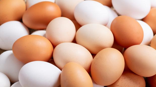 Huevos - Adobe Stock