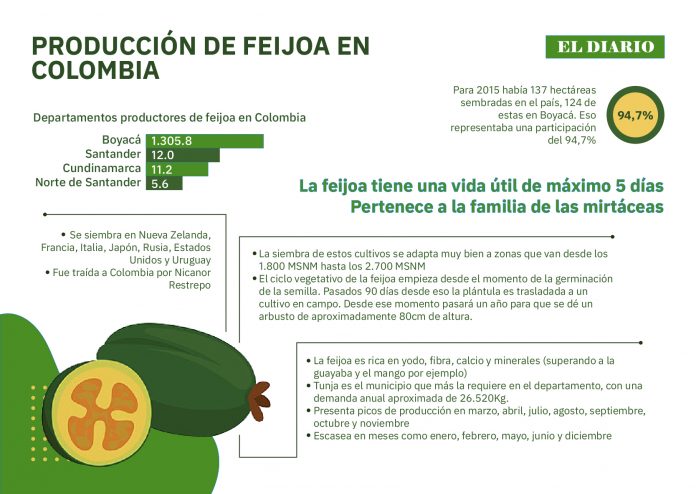 feijoa_Mesa de trabajo 1