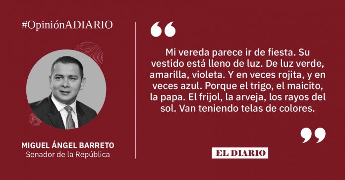 opinion-02
