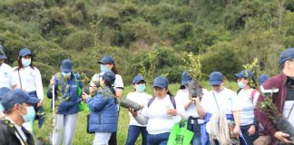 Funcionarios de la Alcaldía de Tunja realizaron recuperación forestal de la reserva natural el Malmo