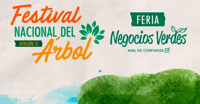 festival-verdes