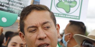 “El Partido Verde no puede petrificarse”, Carlos Andrés Amaya