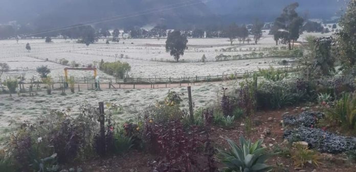 niebla helada campo