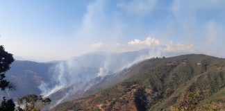 Incendio forestal en Covarachía, nadie atiende la emergencia